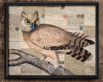 Owl · 8x10 · Instant Download · Vintage · Birds · Collage · Wall · Printable · Digital File #44