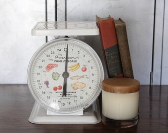 American Family Scale for kitchen