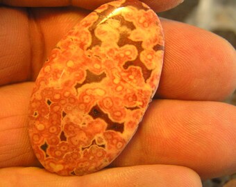 Mariposa Poppy Jasper Freeform Designer Cabochon