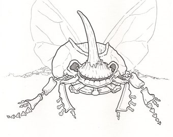 Printable Skeletal Bug Ink Drawing from Inktober