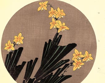 Japanese antique woodblock print, Ito Jakuchu, "Leopard flower, from Jakuchu gafu"