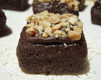 Gourmet Dog Treats - Bow-wow-nies Petite Brownies - Dog Treats All Natural Organic Vegetarian - Shorty's Gourmet Treats