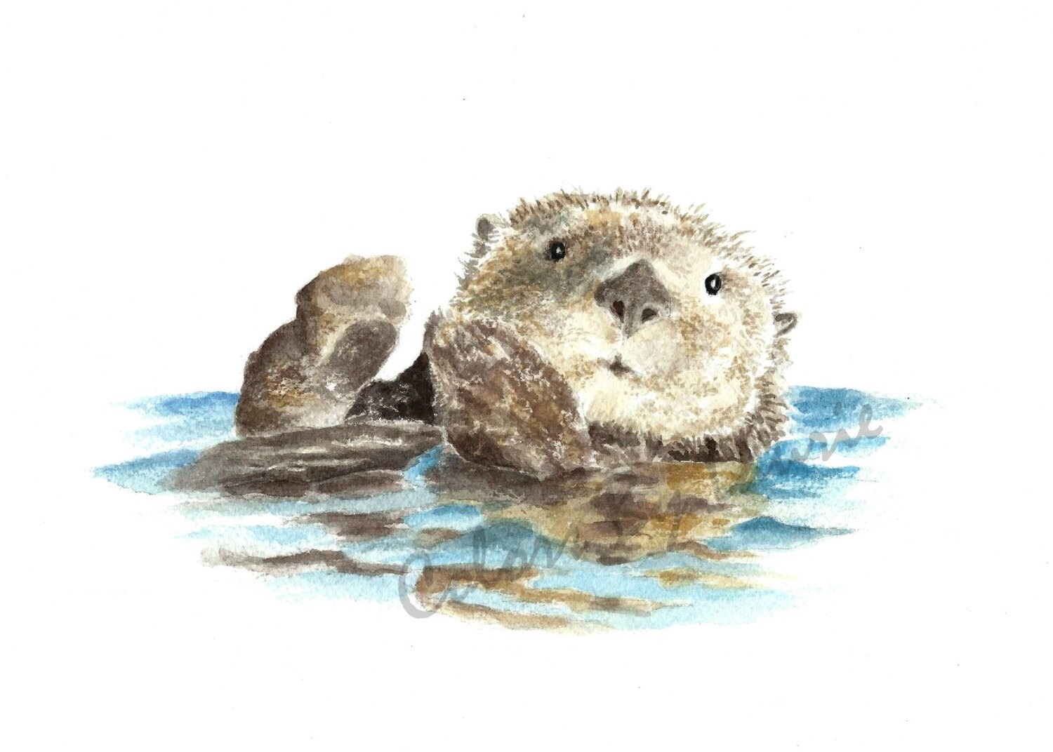 5x7 Sea Otter Print