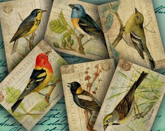 INSTANT DOWNLOAD Printable Birds on Vintage Postcards ATC Backgrounds 2.5 X 3.5 inch - DigitalPerfection digital collage sheet 799