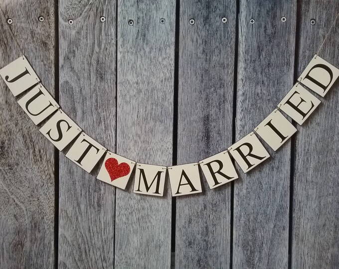 Just Married Banner Custom Colors Wedding Decoration or