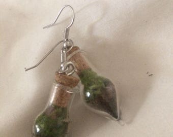 Tear Drop Terarrium Earrings