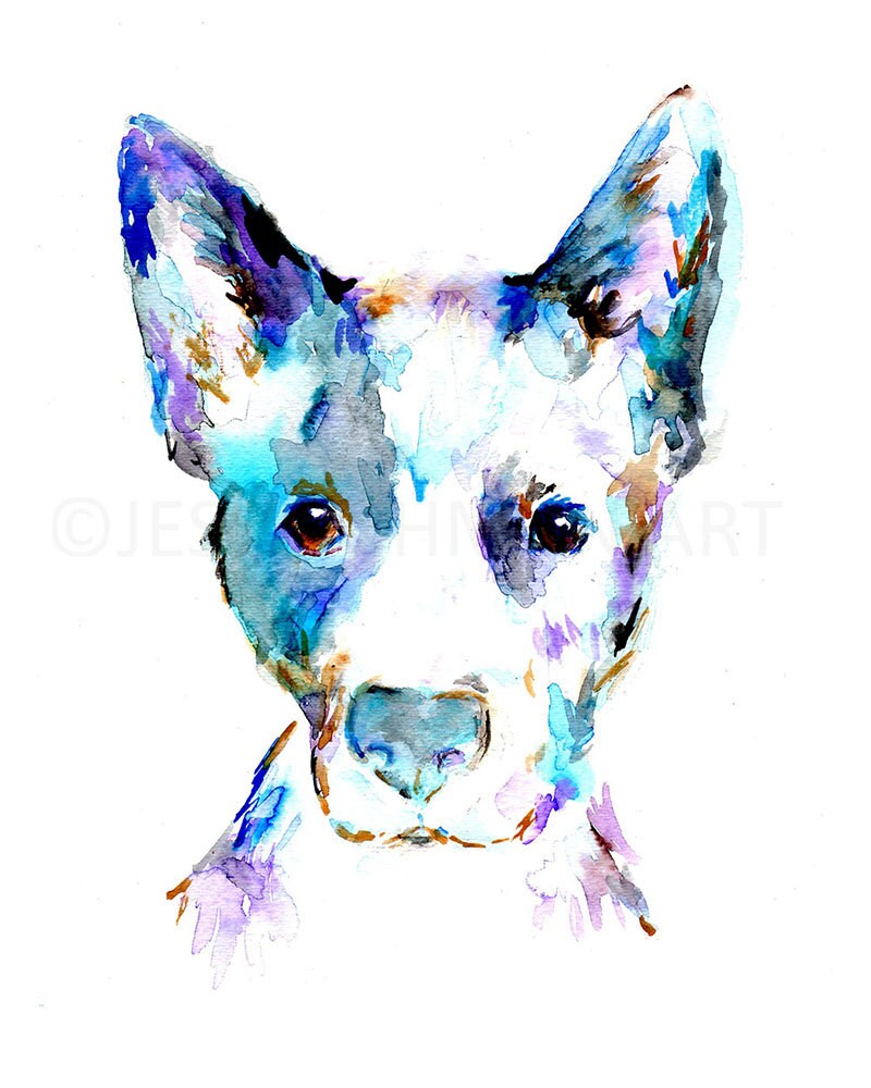 Blue Heeler Watercolor Print Blue Heeler Art Dog Painting