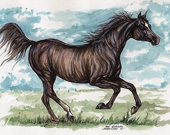 the arabian horse watercolor painting