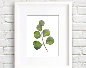 Eucalyptus Leaf Art Print - Nature Wall Decor - Leaves - Watercolor Painting
