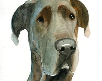 Custom pet portrait pet portrait custom custom dog portrait Custom pet painting Custom dog portrait Original watercolor painting 8X10inch