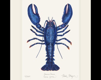 Blue Lobster Limited Edition Signed Print
