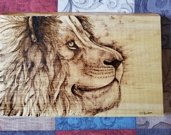 Lion - Pyrography