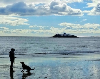 Ocean, Seashore, Girl with Dog Photographic Print, The Beach, Wall Decor