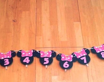 FLASH SALE! - Minnie 12 Month Banner