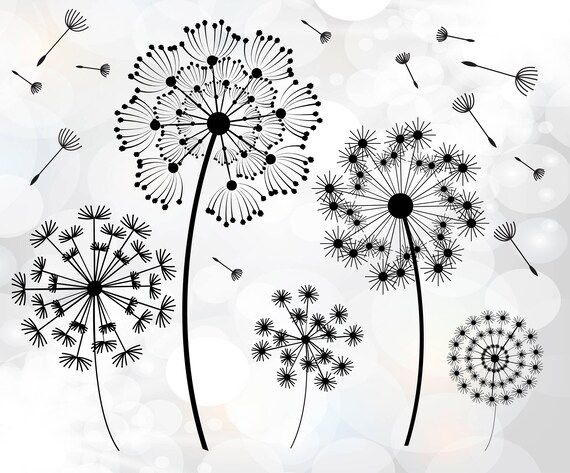 Download Dandelion SVG files Floral svg files for critut Dandelion