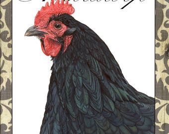 Australorp Hen Notecard: Backyard Chickens Collection