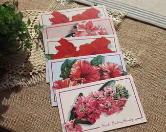 Set of 5 vintage floral postcards,vintage ephemera, pink and red flowers