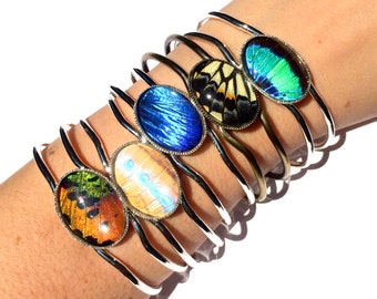 Real Butterfly Wing Bracelet Personalized friendship bracelet for 2 3 4 Terrarium bracelet Unique friendship gifts Terrarium jewelry