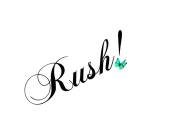 Processing Time Rush!