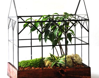 Glass Terrarium Hall House Design