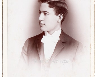 Handsome Victorian Hairstyle