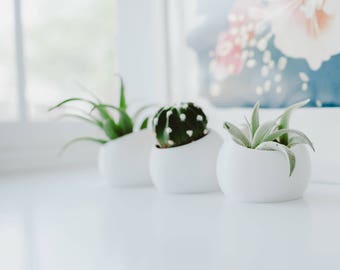 SUCCULENT PLANTER SET || Succulent Planters - Cactus Planters - Succulent Holders - Plant Holders - Modern Planters - Air Plant