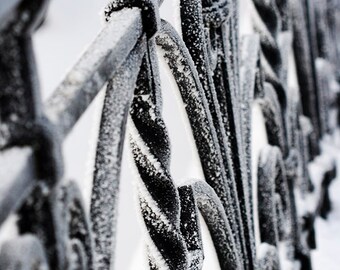 Lace in the snow - Fine Art Photograph