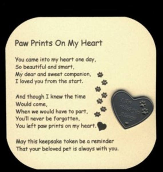 you left paw prints on my heart you left paw prints on my heart