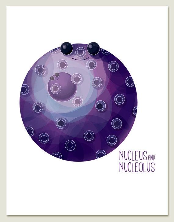 Items similar to Nucleus and Nucleolus / Wall art print ...