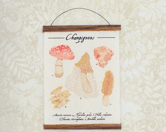 Miniature Natural History Wall Hanging - Assorted Fungi