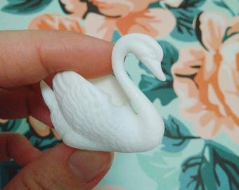 Miniature Swans