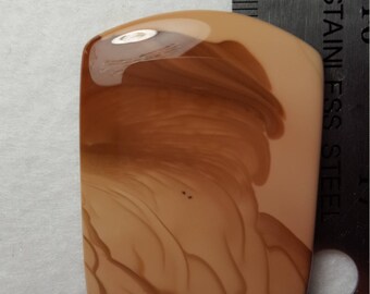 Willow Creek Jasper