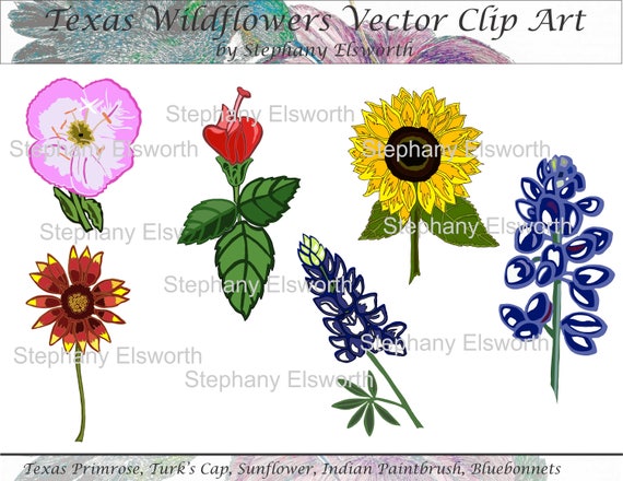 Texas Wildflowers Vector Clip Art