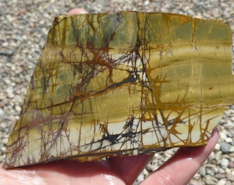 Cherry Creek Jasper Slab (100X75X8)