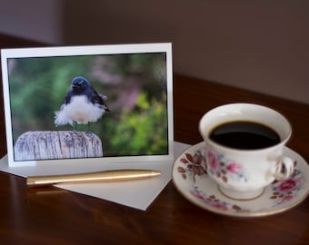 Willy Wagtail - Any Occasion Card (5x7)