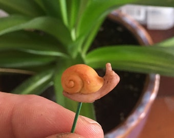 Snail