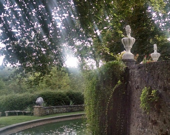 Reflection Pool Photo #1 and #2