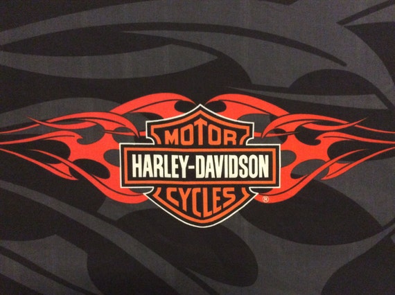 HARLEY DAVIDSON MOTORCYCLES Logo Fabric Panel W/ Orange Flames