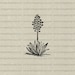 Agave Plant Vector Clipart Download, Aloe Herb Flower Blossoms Graphic, Vintage Style Victorian Nature Botanical Illustration WEB1739AF