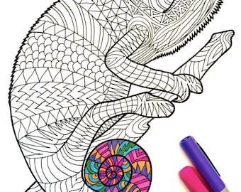 Dolphins PDF Zentangle Coloring Page Dolphins PDF Zentangle Coloring Page