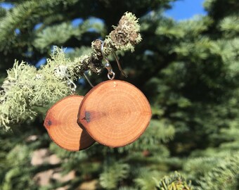 Wood Earrings, Tree Branch Earrings, Madrone Wood Earrings