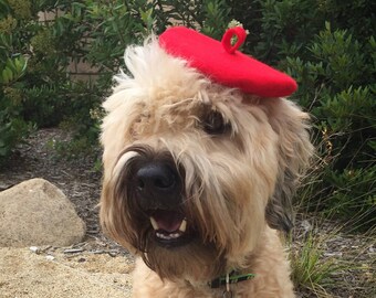 Mini Beret Pet Hat (6 colors)