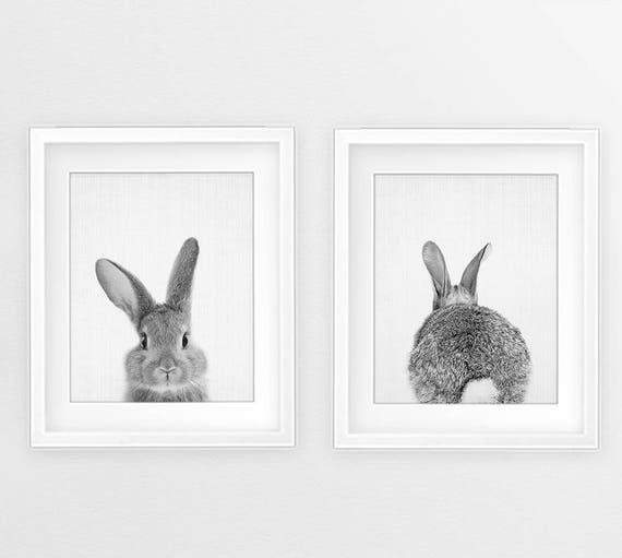 Bunny print set woodlands animal wall art nursery black and white rabbit butt tail print baby animals kids room decor digital printable Bunny print set woodlands animal wall art nursery black and white rabbit butt tail print baby animals kids room decor digital printable