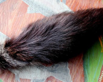 Fox tail - real eco-friendly dark brown dyed silver fox fur totem dance tail on braided belt loop for shamanic ritual and dance DF01