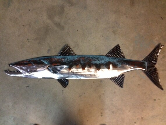 Barracuda Metal Wall Art Sculpture 40in Beach Coastal Tropical