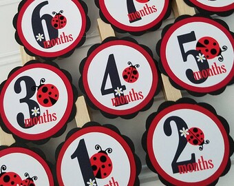 Ladybug First Year clips- ladybug Year at a Glance- picture banner- ladybug Birthday- ladybug Party Decor- ladybug party supplies