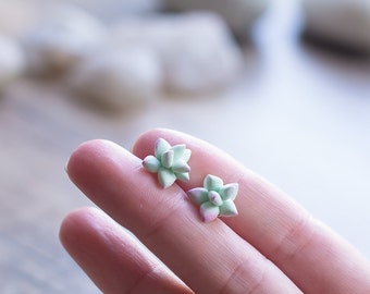 Succulent post earrings - succulent studs - succulent jewelry - botanical, nature earrings - plant jewelry - terrarium earrings - mint