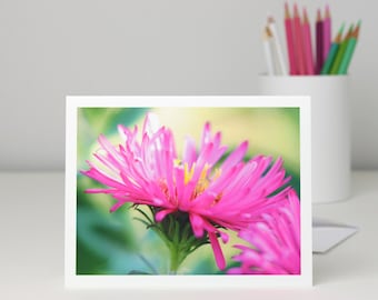 Bright Pink Aster Flower Photo Note Card, floral photography stationery blank notecard, nature photo greeting card, a2 or a7