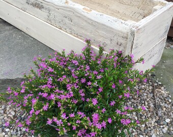 Window planter box/Planter/Distressed window planter