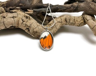 Real Butterfly jewelry, butterfly Wing Necklace, handmade, Colotis eventhe, butterfly Pendant, butterfly wing pendant, butterfly necklace